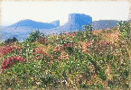 Roteiros Ecolgicos - Chapada Diamantina - Bahia