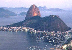 Basil - Rio de Janeiro - Cidade Maravilhosa